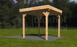 Actie Douglas Overkapping 300x300