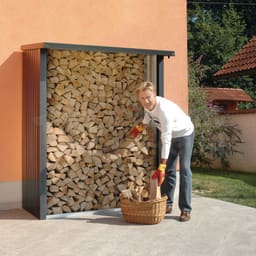stalen berging Woodstock 150 - Biohort - WS150 - 157x102