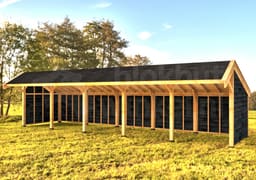 Woodvision Kapschuur Modulair Eemland 1750x310 geïmpregneerd (5 vakken)