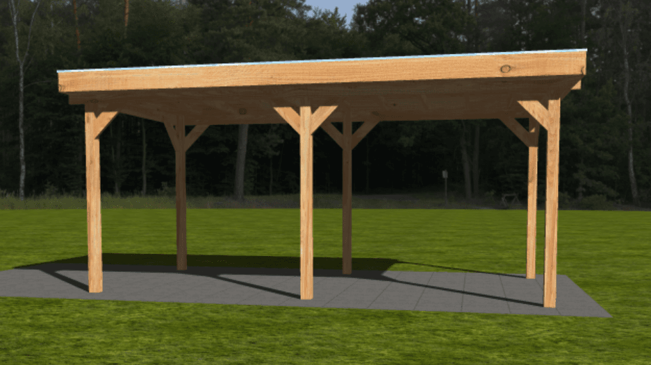 Actie Douglas Overkapping 600x300