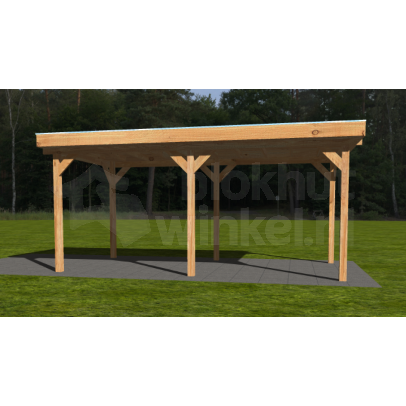 Actie Douglas Overkapping 600x300