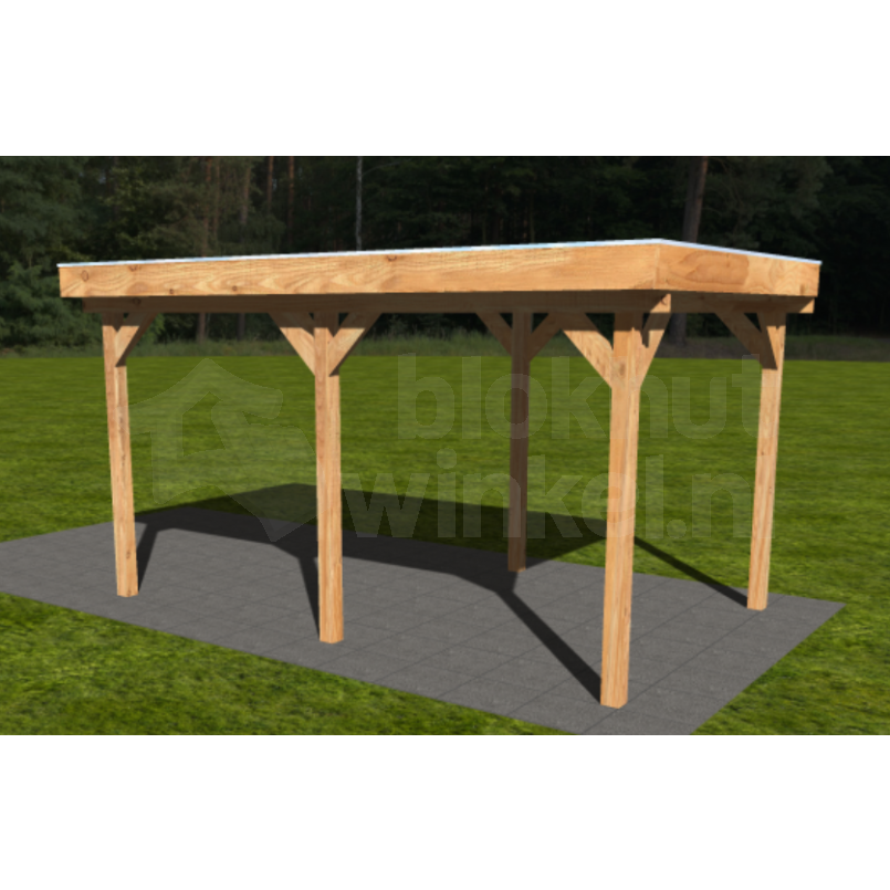 Actie Douglas Overkapping 500x300