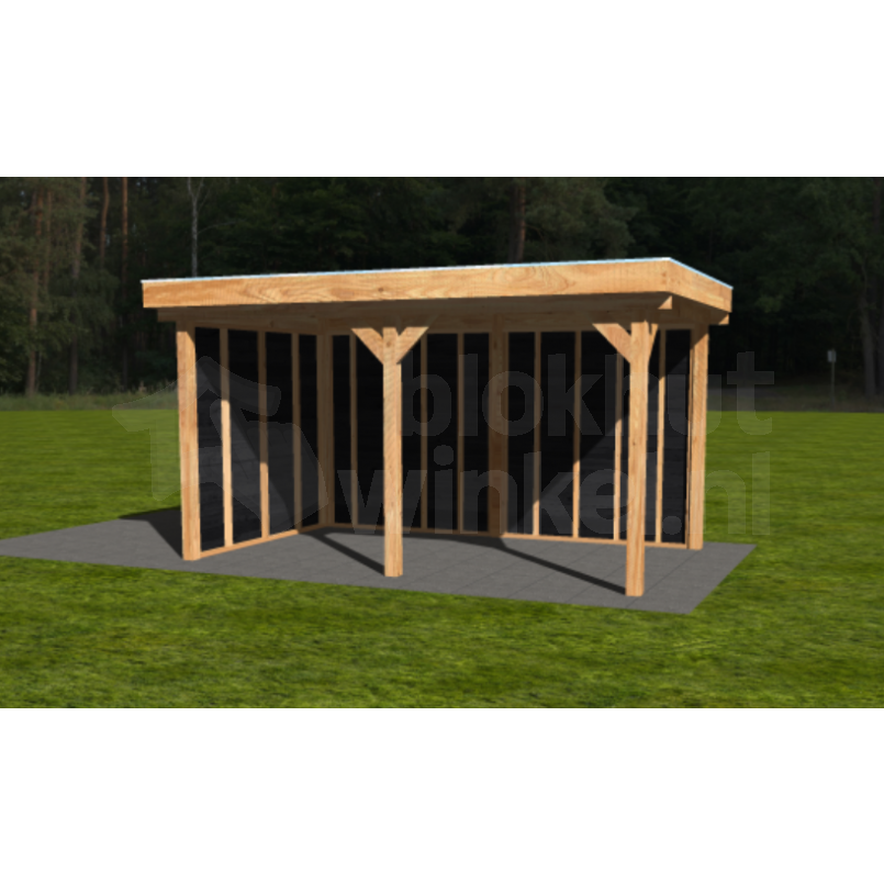 Actie Douglas Overkapping 500x300