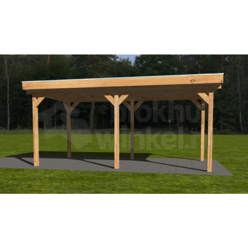 Actie Douglas Overkapping 600x300