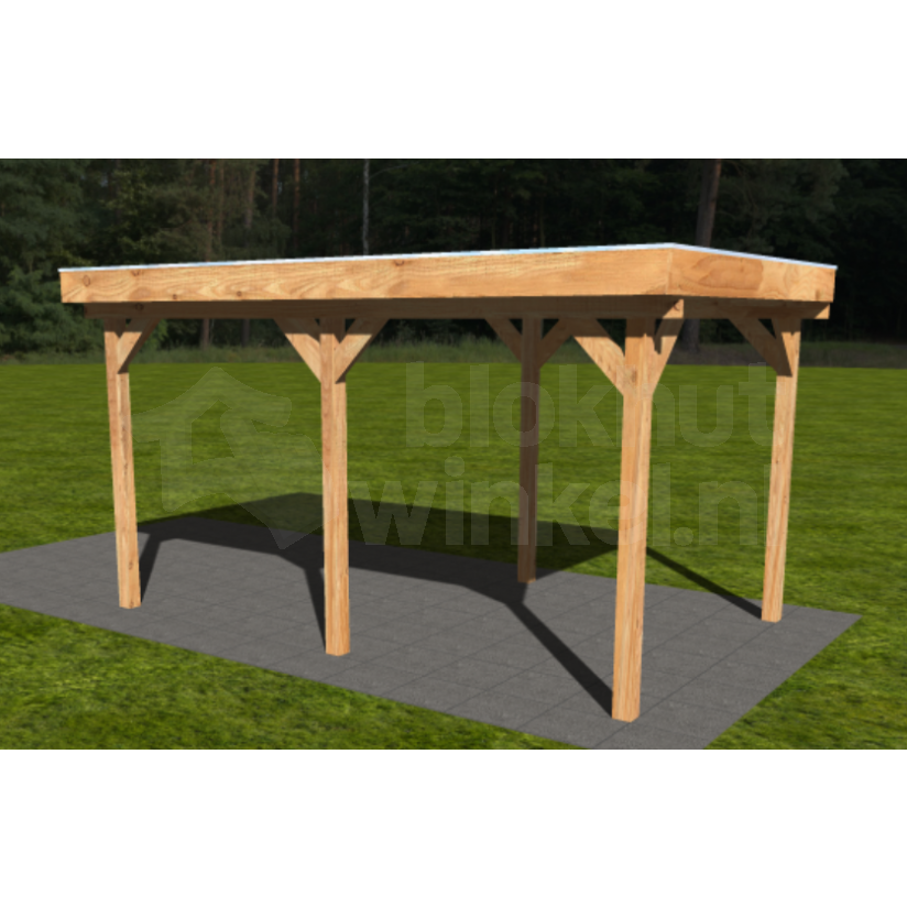 Actie Douglas Overkapping 500x300