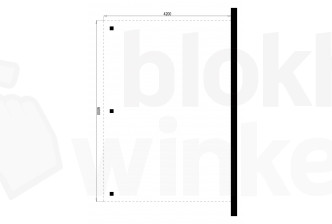Outback Geïmpregneerde Aanbouw Carport 420x600