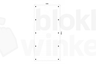 Outback Douglas Vrijstaande Carport 500x1100