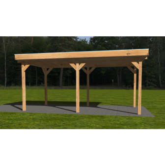Actie Douglas Overkapping 600x300