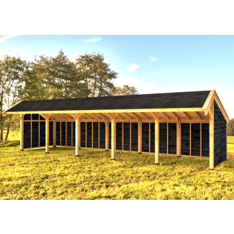 Woodvision Kapschuur Modulair Eemland 1750x310 geïmpregneerd (5 vakken)